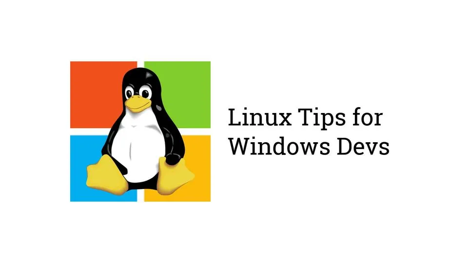 Linux Tips for Windows Devs - Used Disk Space